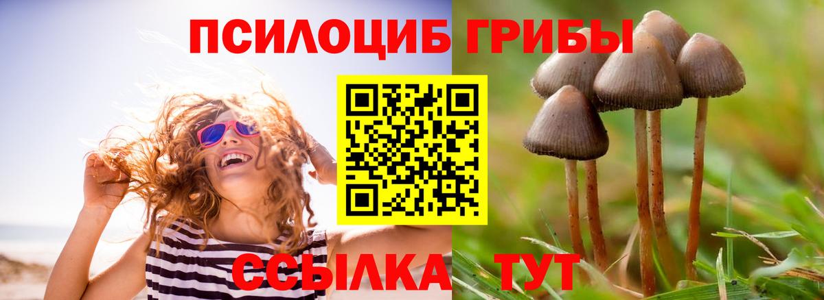 Галлюциногенные грибы MAGIC MUSHROOMS Симферополь